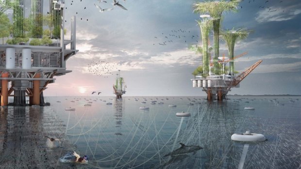 The Noah Oasis design for the 2015 Skyscraper Competition, featuring dolphins that are leaping for joy.