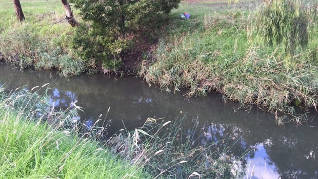 Sanaya Shaib was found in the Darebin Creek. 