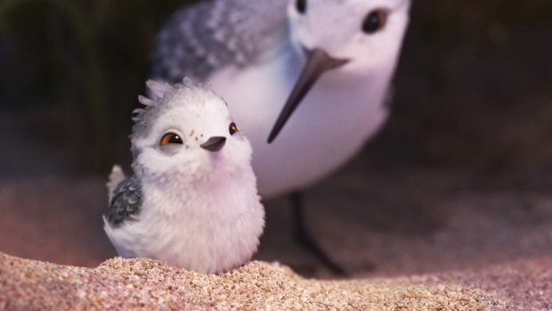 Pixar Animation Studios' new short, Piper, a hungry sandpiper hatchling.