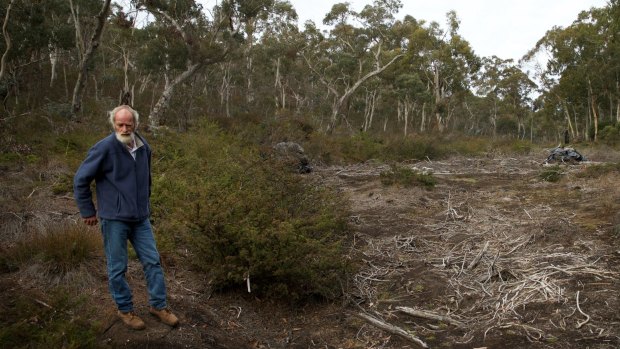 Chris Jonkers of the Lithgow Environment Group at East Wolgan swamp, which has been extensively damaged by subsidence from the underground coal mine.