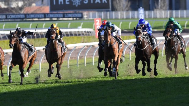 Too good: Winx, second from right, runs on the outside in the closing stages.