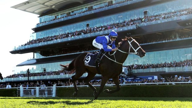Interstate rivalry: Champion mare Winx is a strong chance of racing at Royal Randwick on the same day as the Caulfield Guineas in Melbourne.