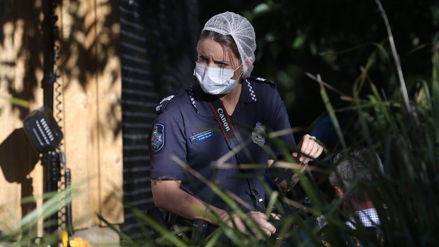 Police at the scene where human remains were found at Teneriffe Park.