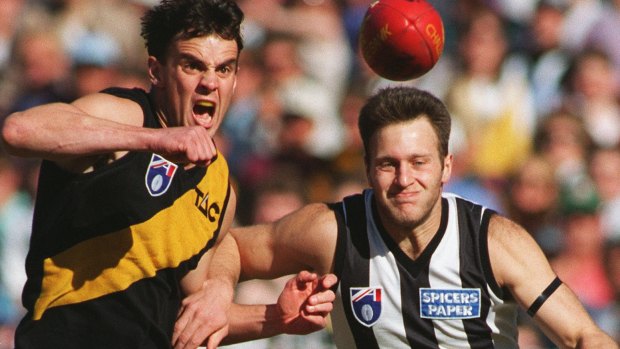 Tigers of old: The Richmond jumper (left) in 1995.