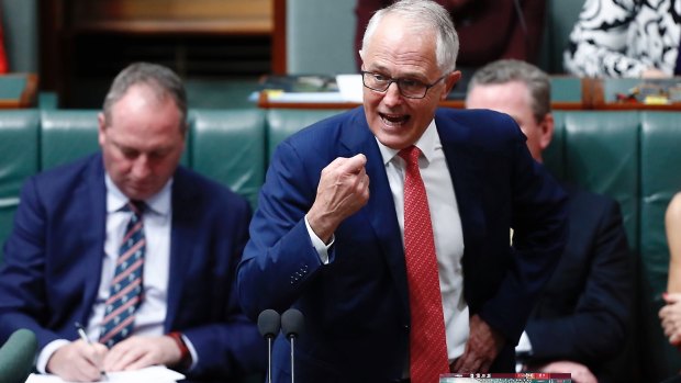 Prime Minister Malcolm Turnbull sells the policy during question time on Tuesday.