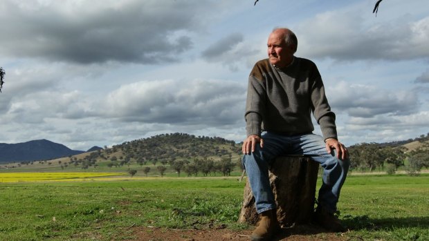 Tony Windsor is aiming for a  comeback less than three years after he retired.