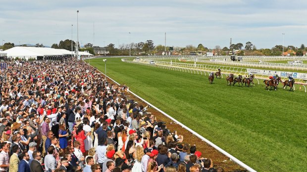 Big crowds: Total wagering was up 5 per cent for Melbourne's spring carnival. 