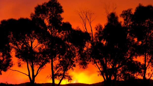 A bushfire near Healesville, on the outskirts of Melbourne on Black Saturday in February 2009. 