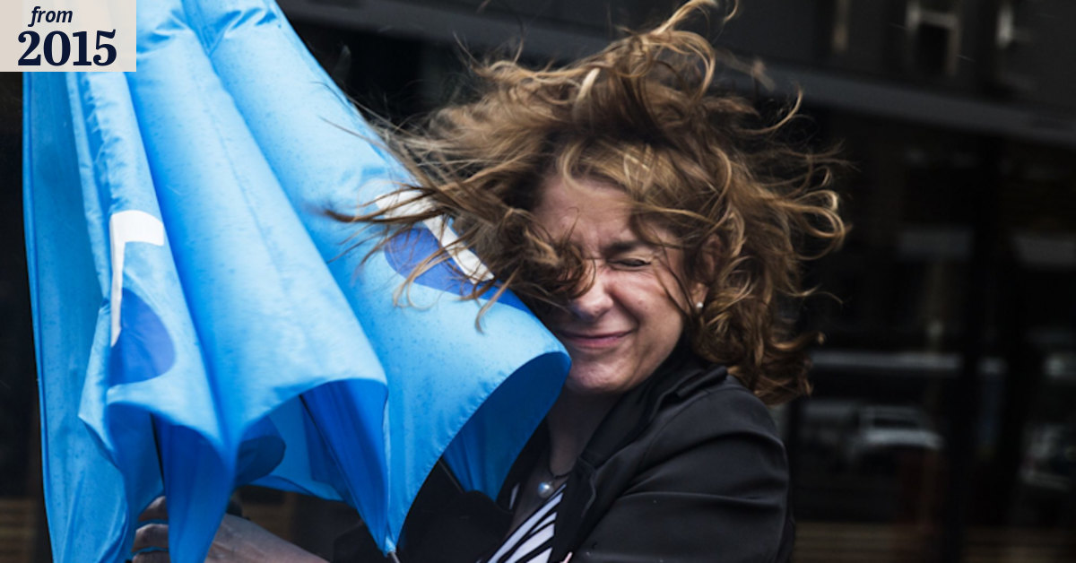 Melbourne weather: Wild winds bring down trees, powerlines, spark grass ...