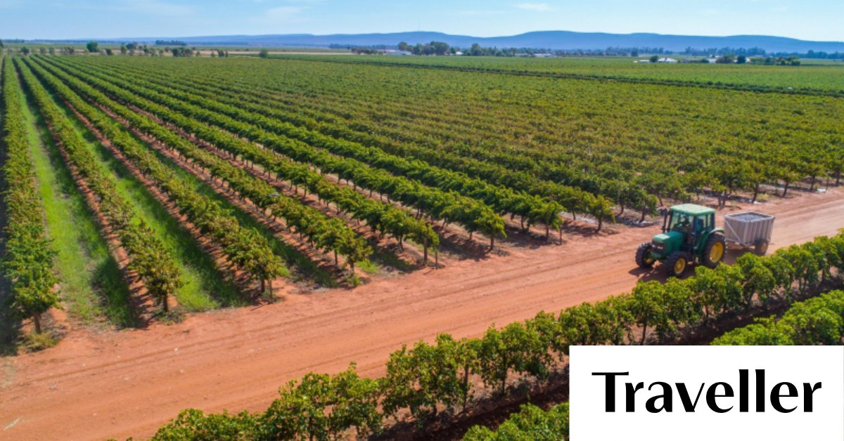 Griffith, NSW, travel guide and things to do Nine highlights