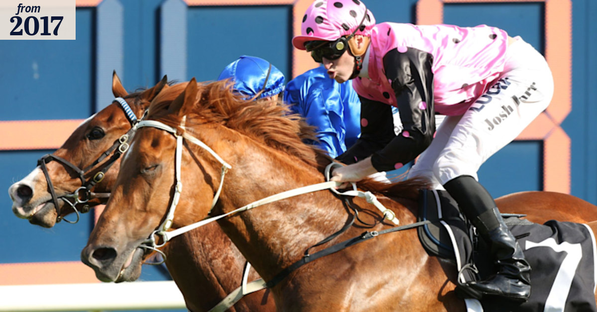 Gold Coast trainer Toby Edmonds plots potential Magic Millions swoop ...