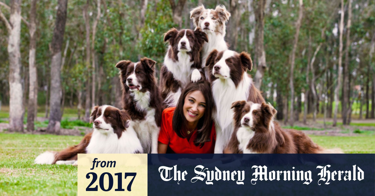 Celebrity Vet Katrina Warren Presides Over A Pooch Proposal Log in or sign up for facebook to. celebrity vet katrina warren presides