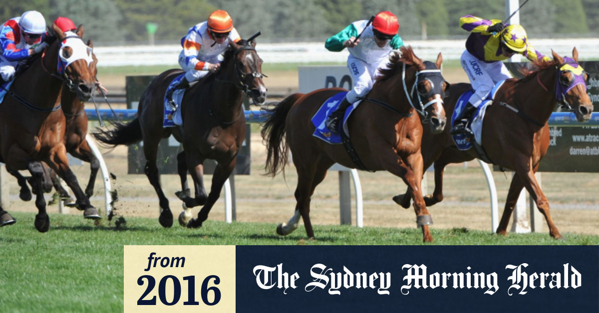 Racing Preview Ballarat Cup Day