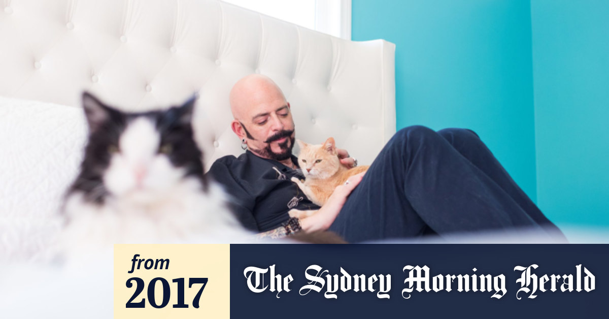 Cat Whisperer Jackson Galaxy Why Cats Suddenly Bite The Hand That
