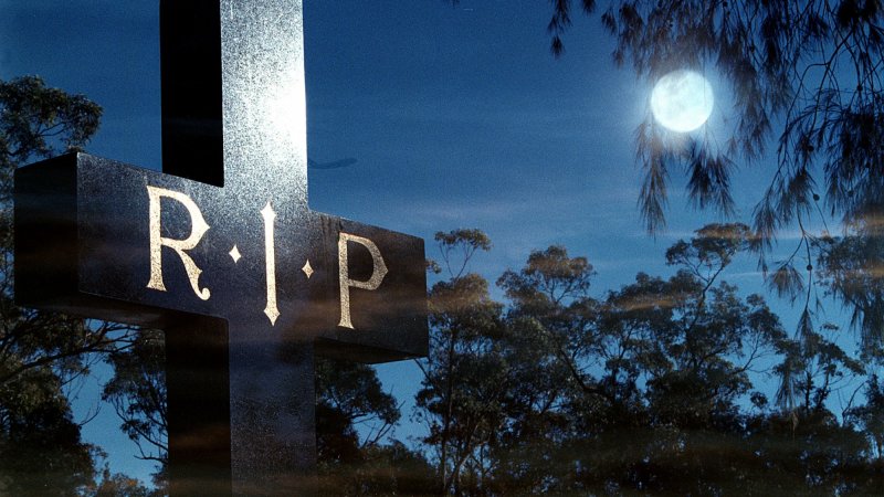 Signs Of Life In The Graveyard Of Asx Education Stocks