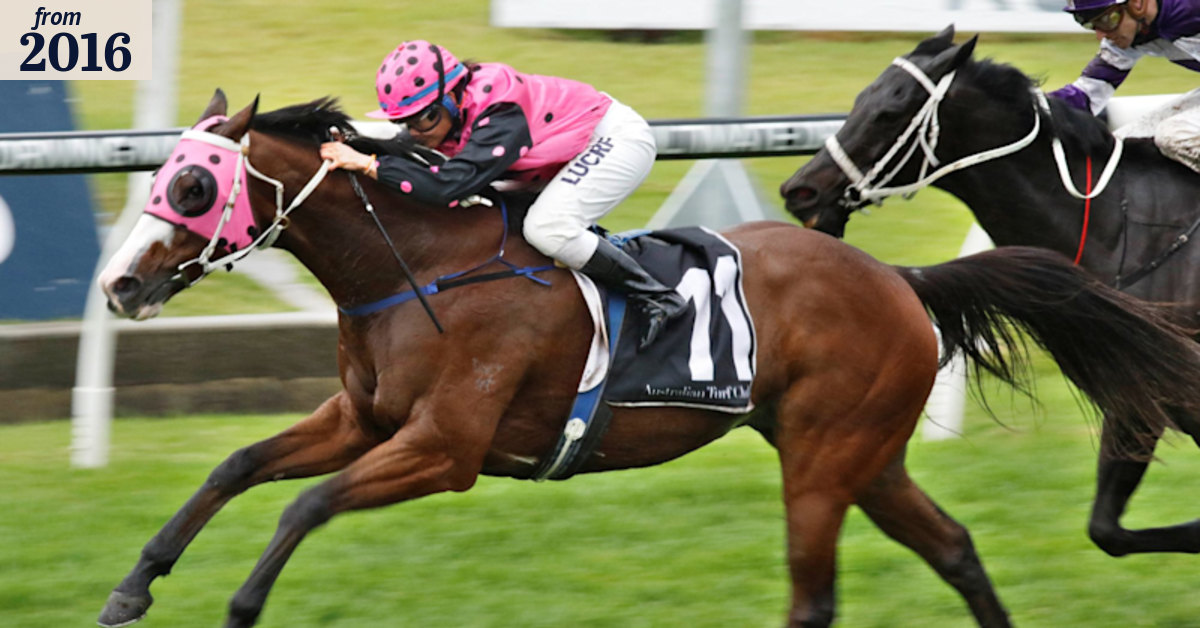 Winter Cup day: Rosehill racing preview