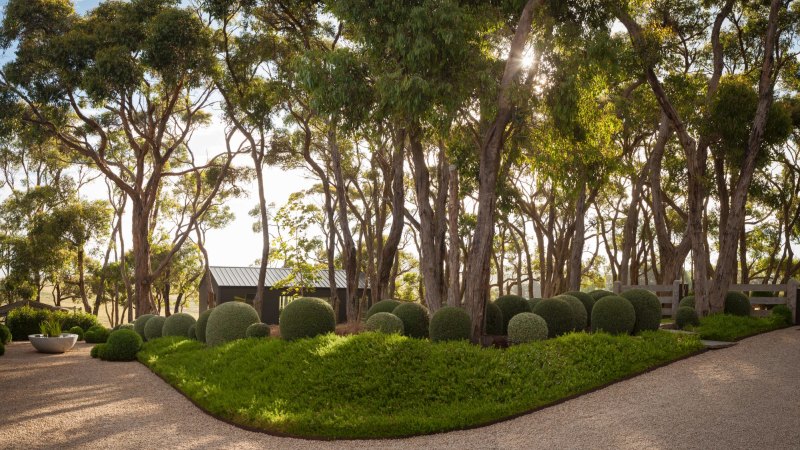 Gardening It S Time To Get Creative With Native Australian Plants
