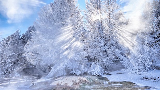 Winter brings a particular  majesty and silence to Yellowstone.