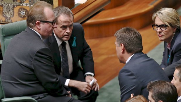 David Feeney, a close ally of Opposition Leader Bill Shorten, could be dumped by Labor if a byelection is needed.