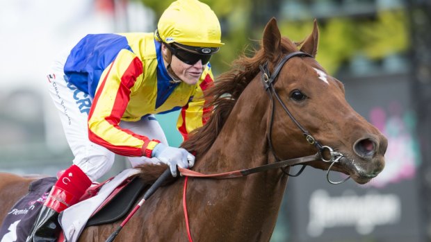 Improving: Craig Williams riding Spieth wins race 4 at Flemington by three-quarters of a length. 
