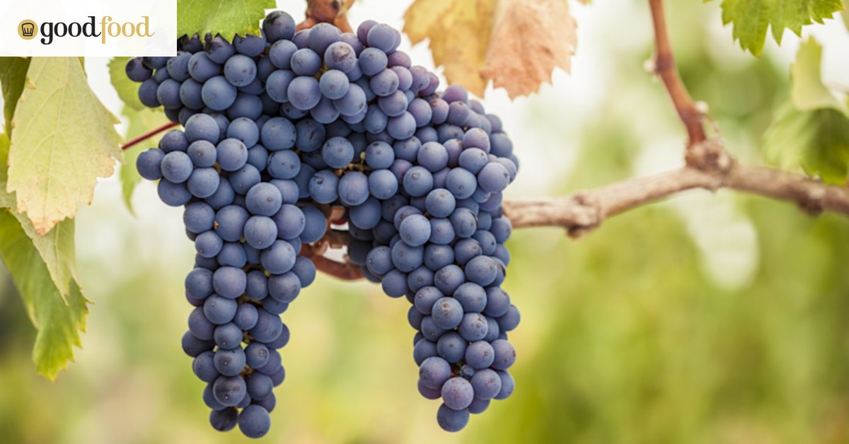 Grape variety clones: Science, not fiction