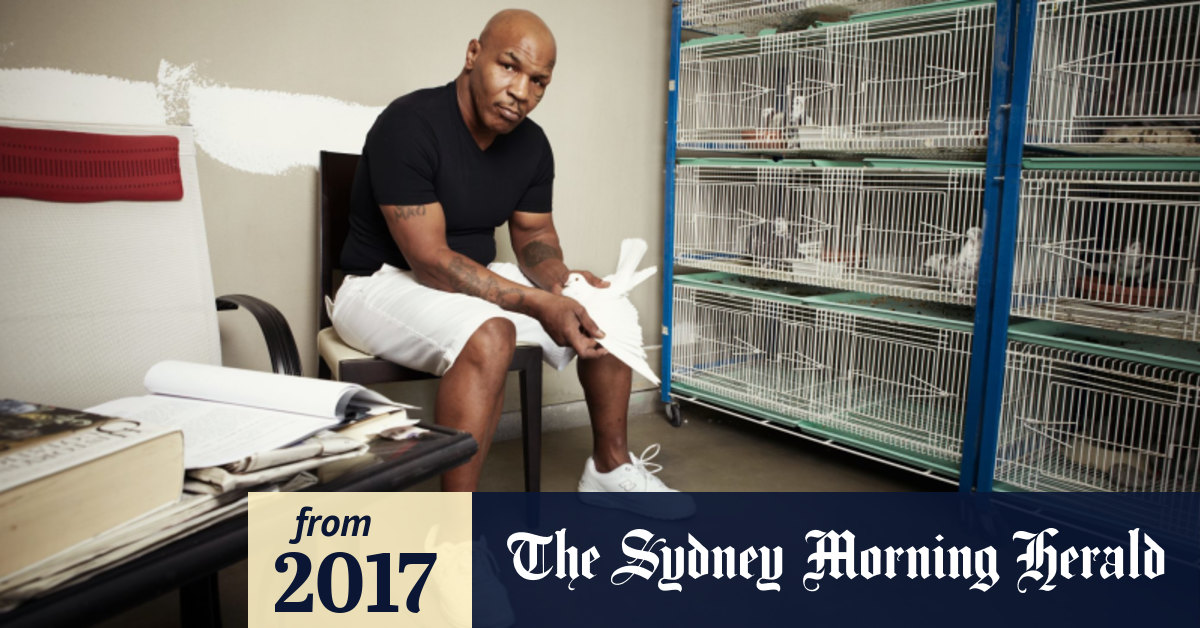 Mike Tyson Ex Boxer Turned Pigeon Loving Tennis Dad I M Always Crying