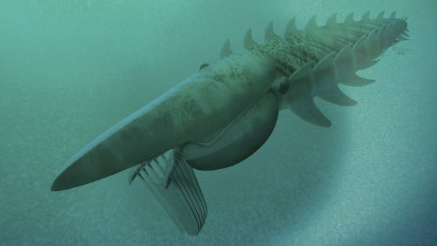 An artist's rendering of  Aegirocassis benmoulae from the Ordovician Period feeding on a plankton cloud.
