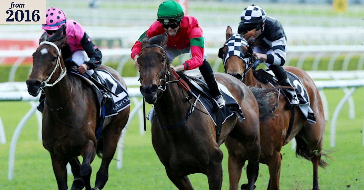 Racing preview: Rosehill Gardens, November 12