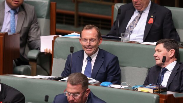 Tony Abbott during question time at Parliament House.