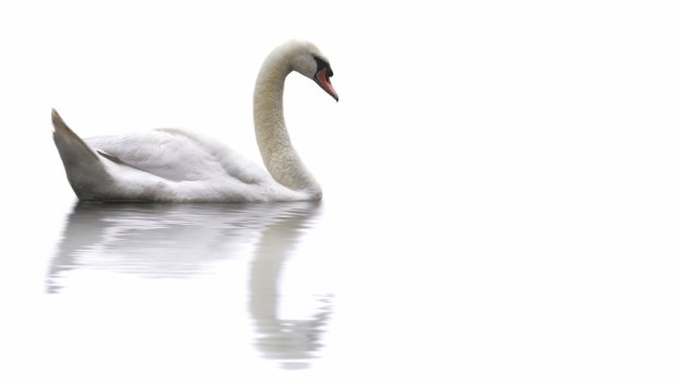 When your ugly duckling investment turns into a beautiful swan it's time to sell.
