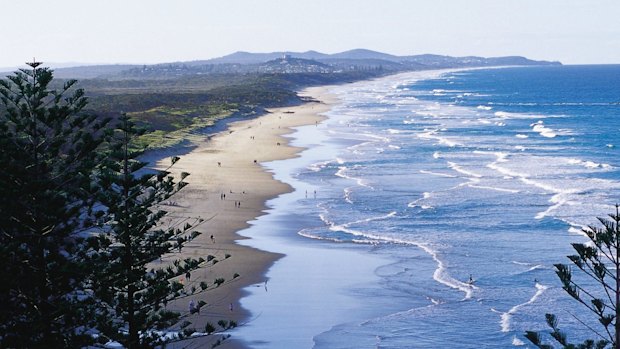 The shark was spotted at Coolum Beach.