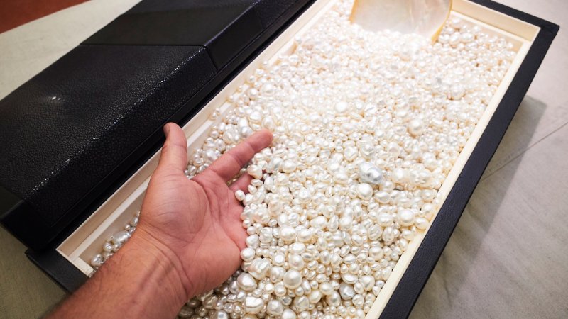 Paspaley Family Fortune Rises As Rare Natural Pearls Come Back In Vogue