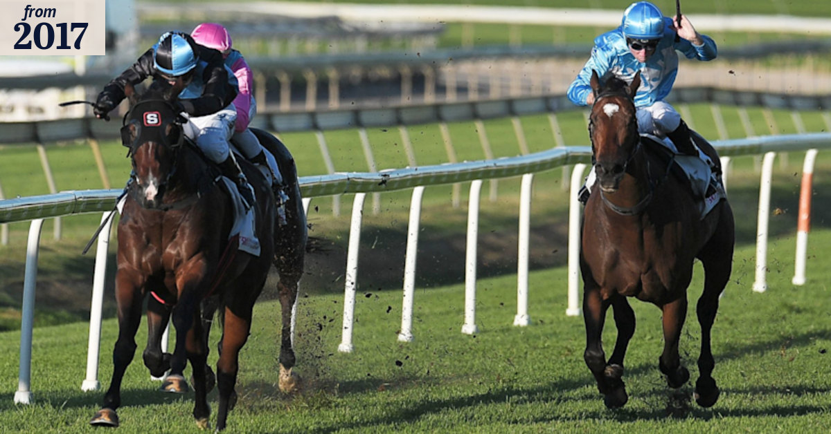 Tycoon Tara heading for stud as Tony Krushka pays tribute to Peter and ...