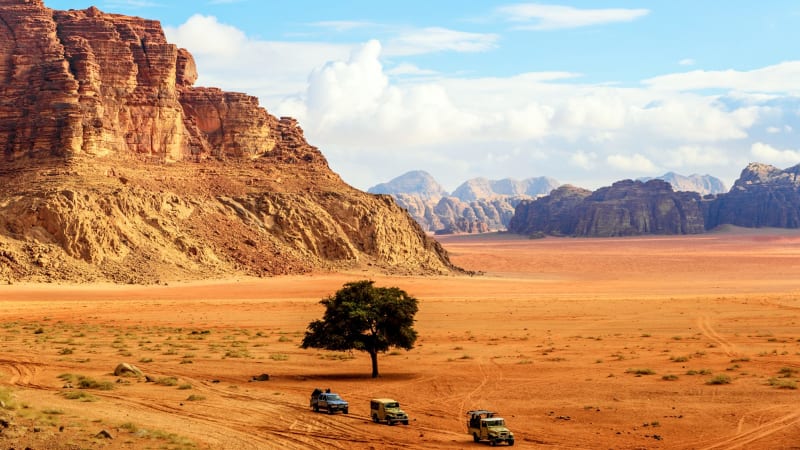 Lawrence Of Arabia Streaming Australia : Lawrence of Arabia movie review (1962) | Roger Ebert : Lawrence of arabia is strictly for general auds only.