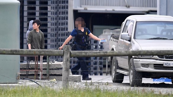 Bringing in an alleged illegal worker.