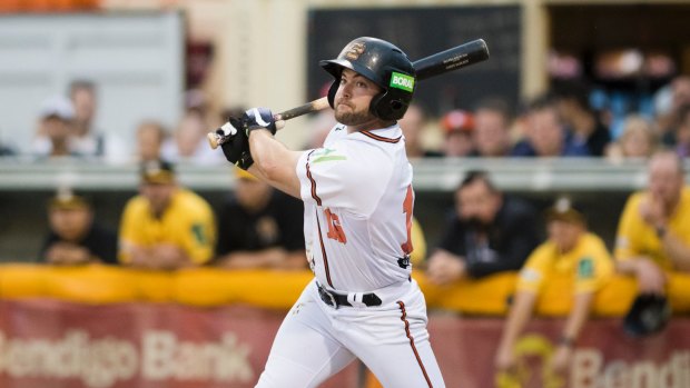 Canberra Cavalry's  Casey McElroy.  