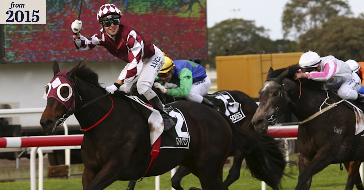 Rex Lipp says Tinto is running for Tim Bell in Festival Stakes