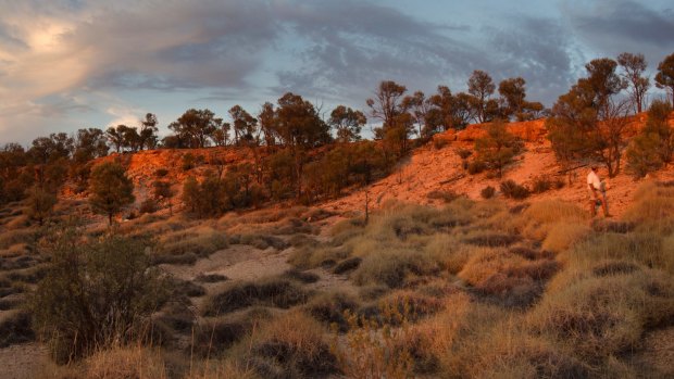 Pullen Pullen reserve in western Queensland is home to one of the two known populations of night parrot.