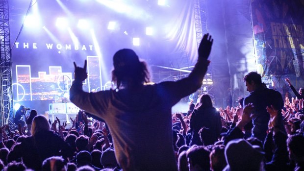 The wheels are in motion to pill-test at this year's Groovin the Moo festival.