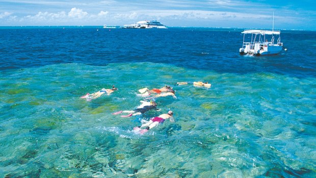 A guided snorkelling tour of the Low Isles in Tropical North Queensland.