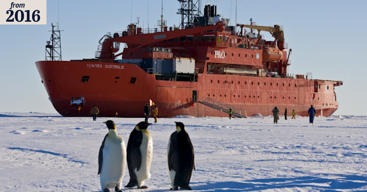 Cutting to the core: CSIRO to end long-standing Antarctic ice, air research