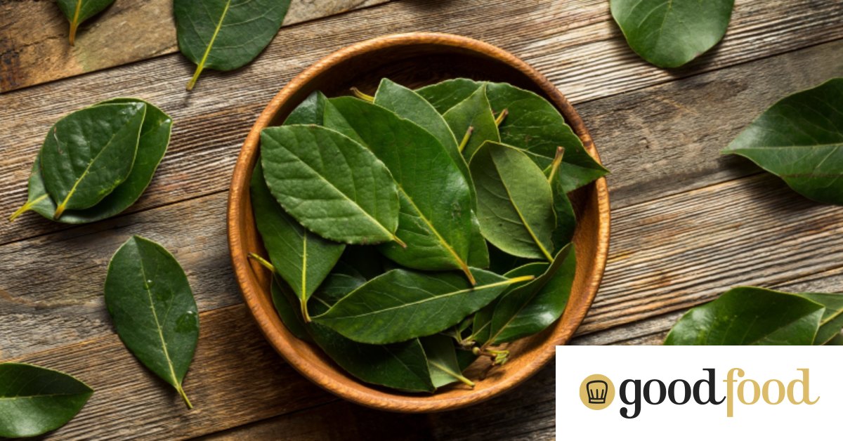 Bay leaves Everything you need to know