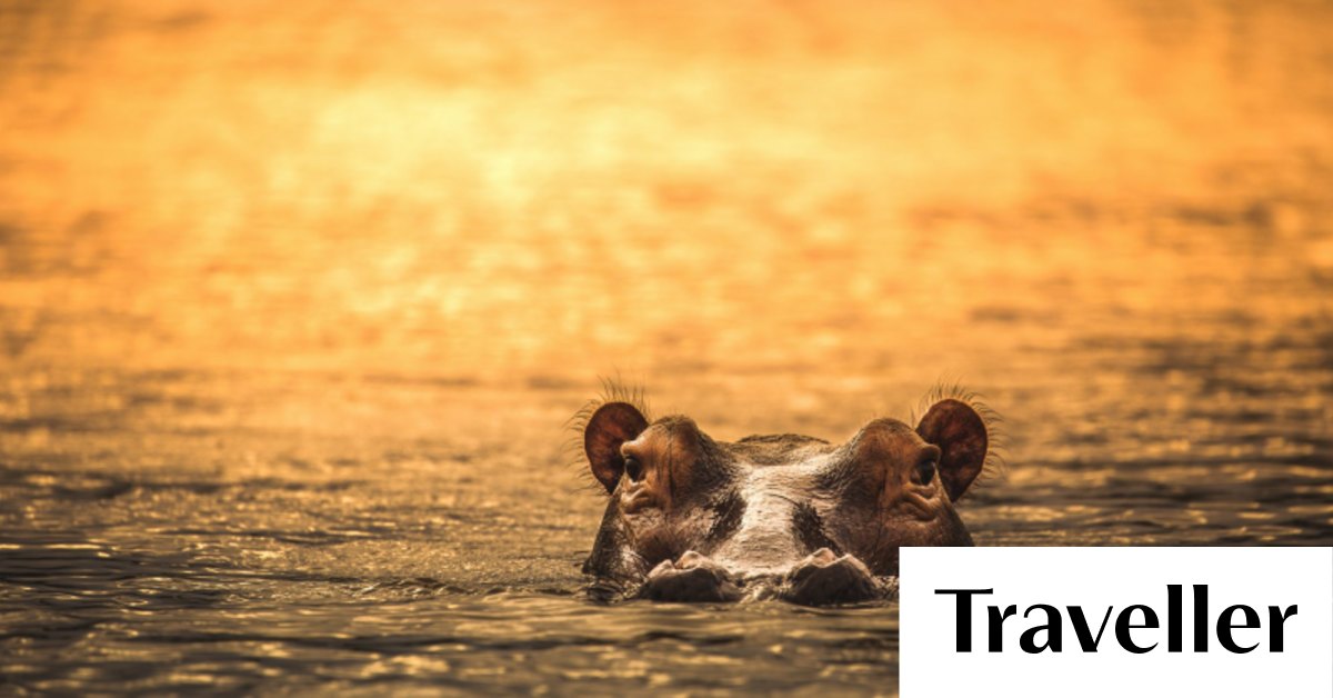 Tips for travelling in Tanzania, Africa What to do when you come