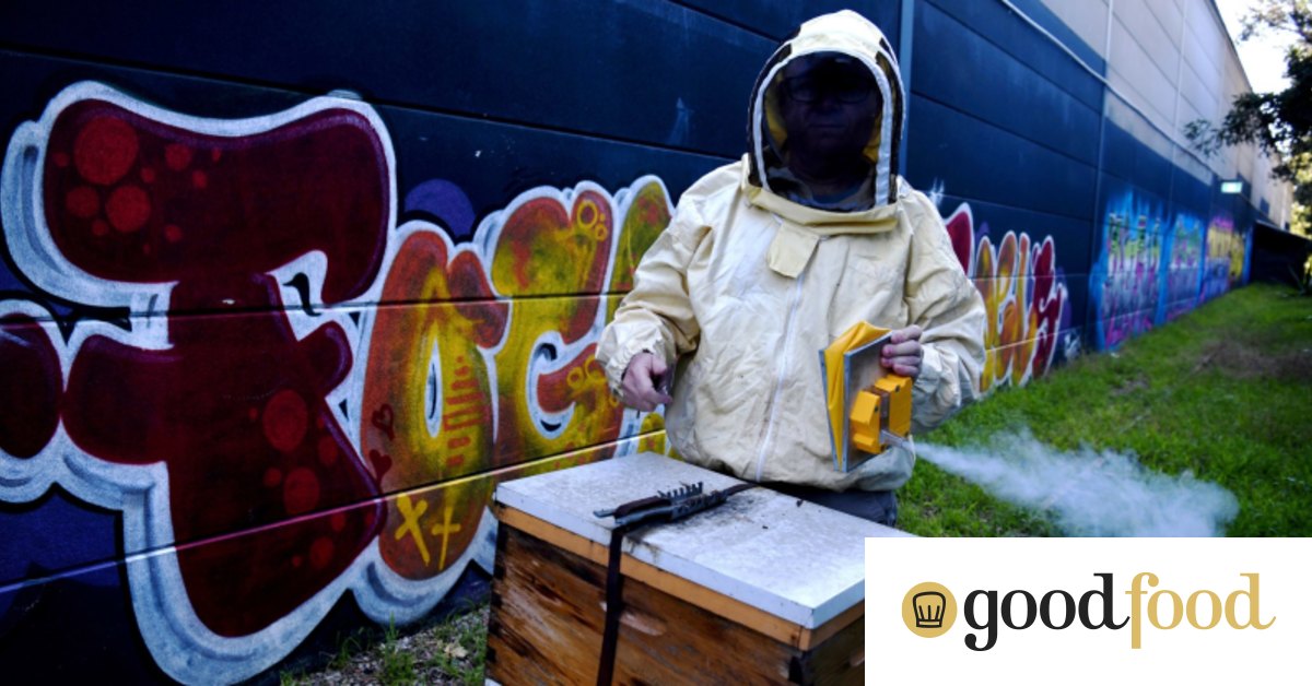 Honey, you've changed Sydney gets buzzed on modern mead alternatives