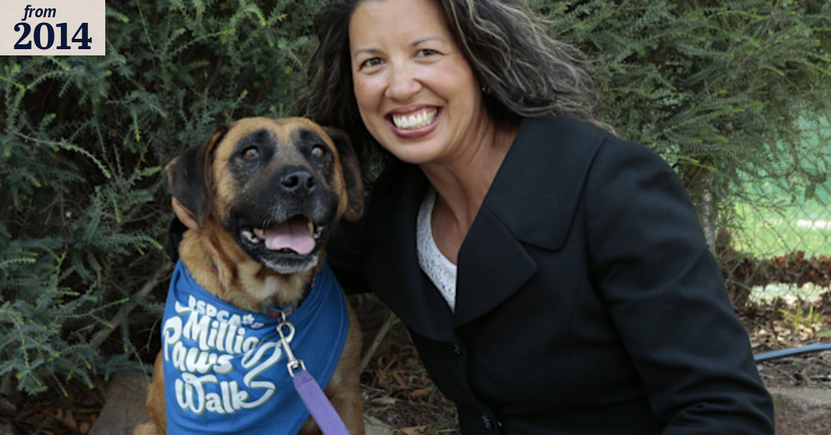 RSPCA ACT financial reserves at critical levels