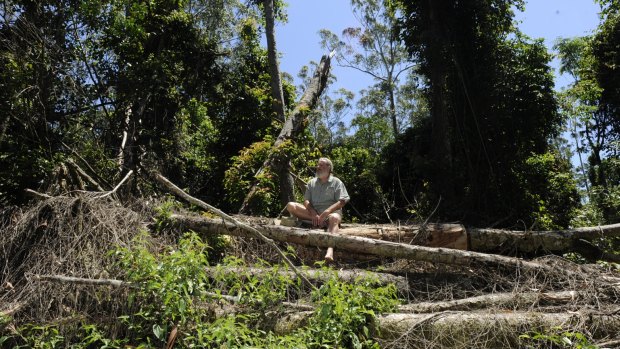 Dailan Pugh sits in an area of potentially illegal logging in the Cherry Tree State Forest that the EPA decided not to prosecute.