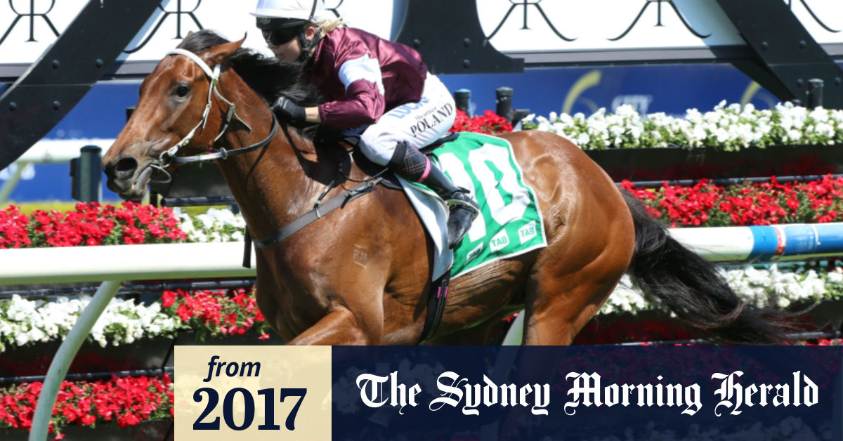 sydney morning herald