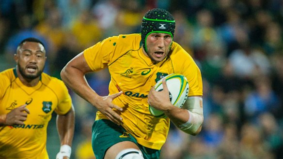 Wallabies lock urges ARU to grow WA grassroots rugby