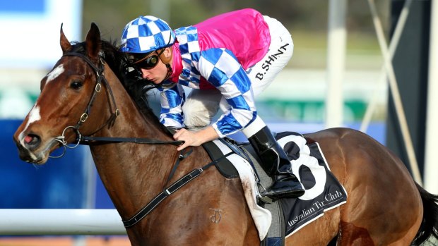 Canberra trainer Mattew Dale says Fell Swoop will be in the "thick of things" in the Doomben 10,000.