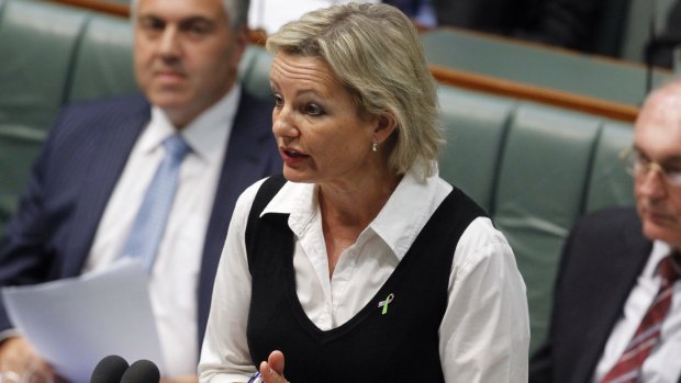 Second woman in cabinet: Sussan Ley. 